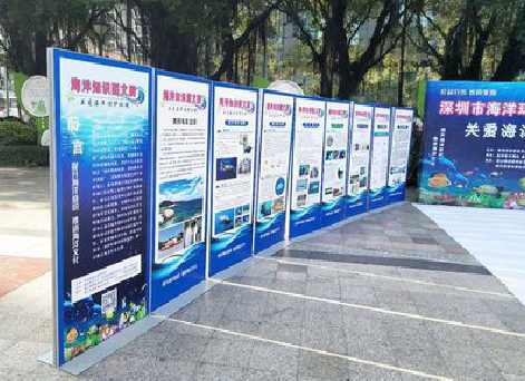 清涧KT板的种类和知识。